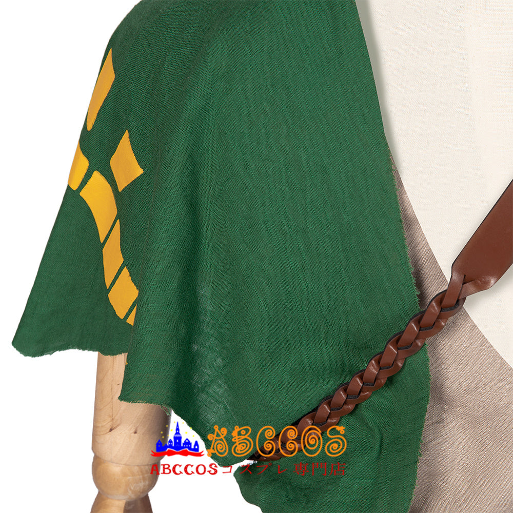 Zelda Tears of the Kingdom: Link Cosplay Costume - ABCCoser