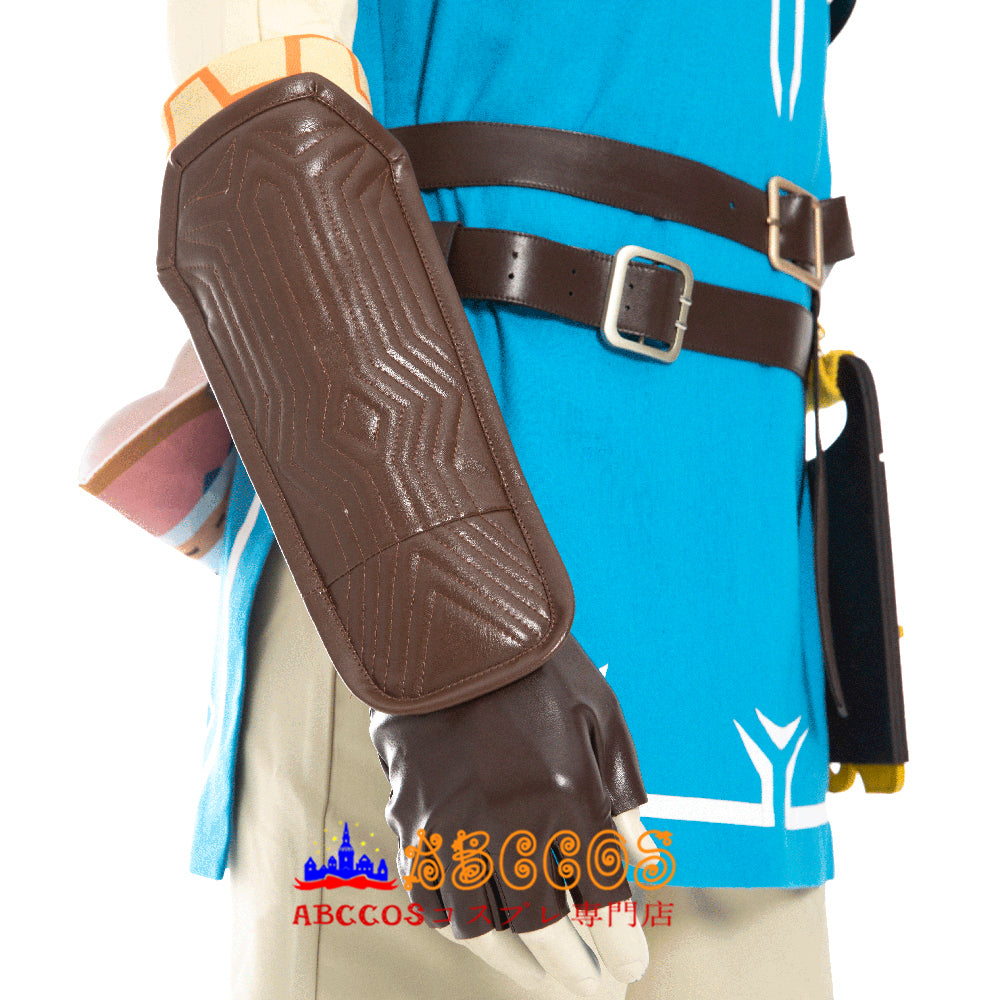 The Legend of Zelda Hero Server - ABCCoser