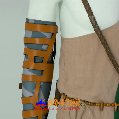 The Legend of Zelda Kingdom Tears: Link - ABCCoser